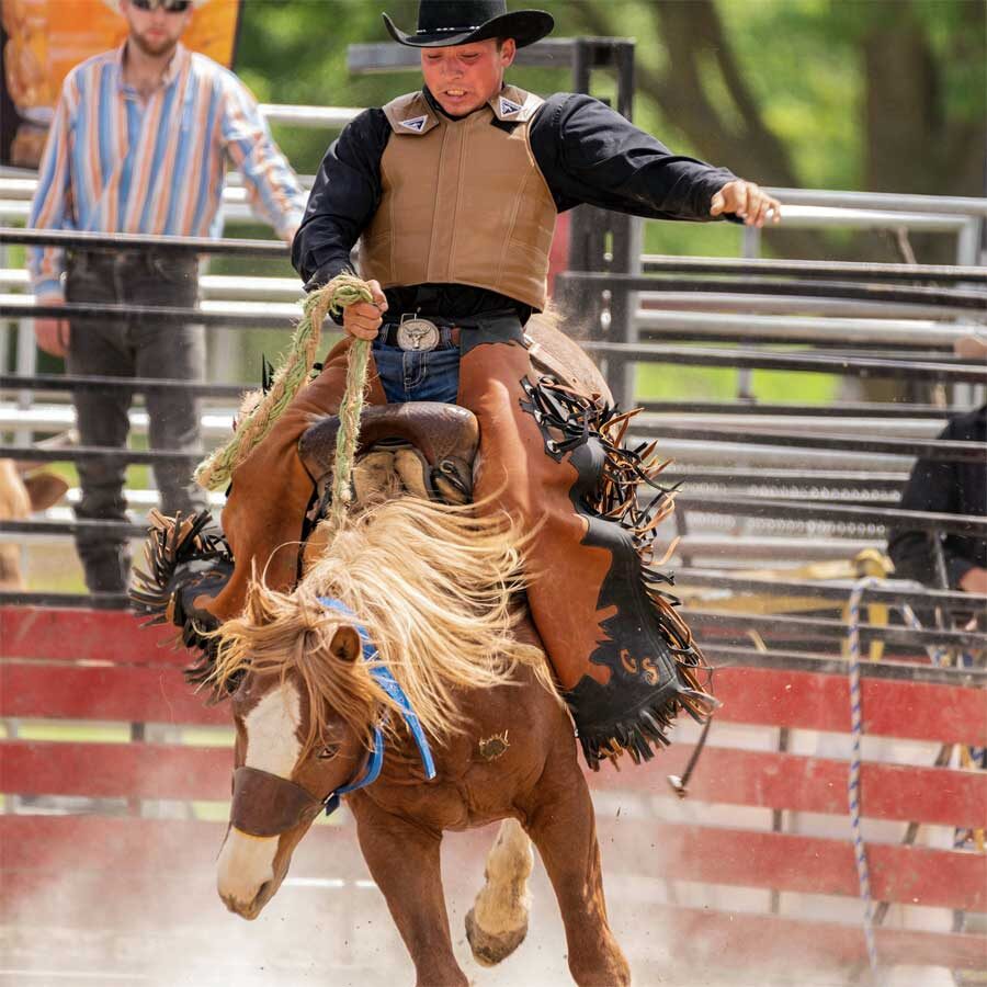 pexels-PD-rodeo-900x900